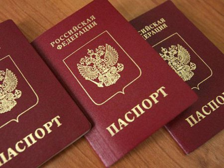 Госдума приняла поправки об изымаемых паспортах